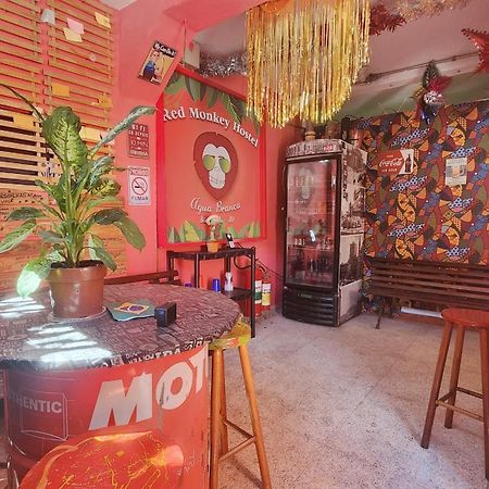 Red Monkey Hostel Barra Funda São Paulo Zewnętrze zdjęcie